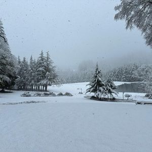 Meet your Posher, Venus